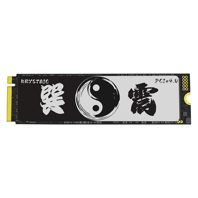 XZ (Xunzhen Series) SSDs